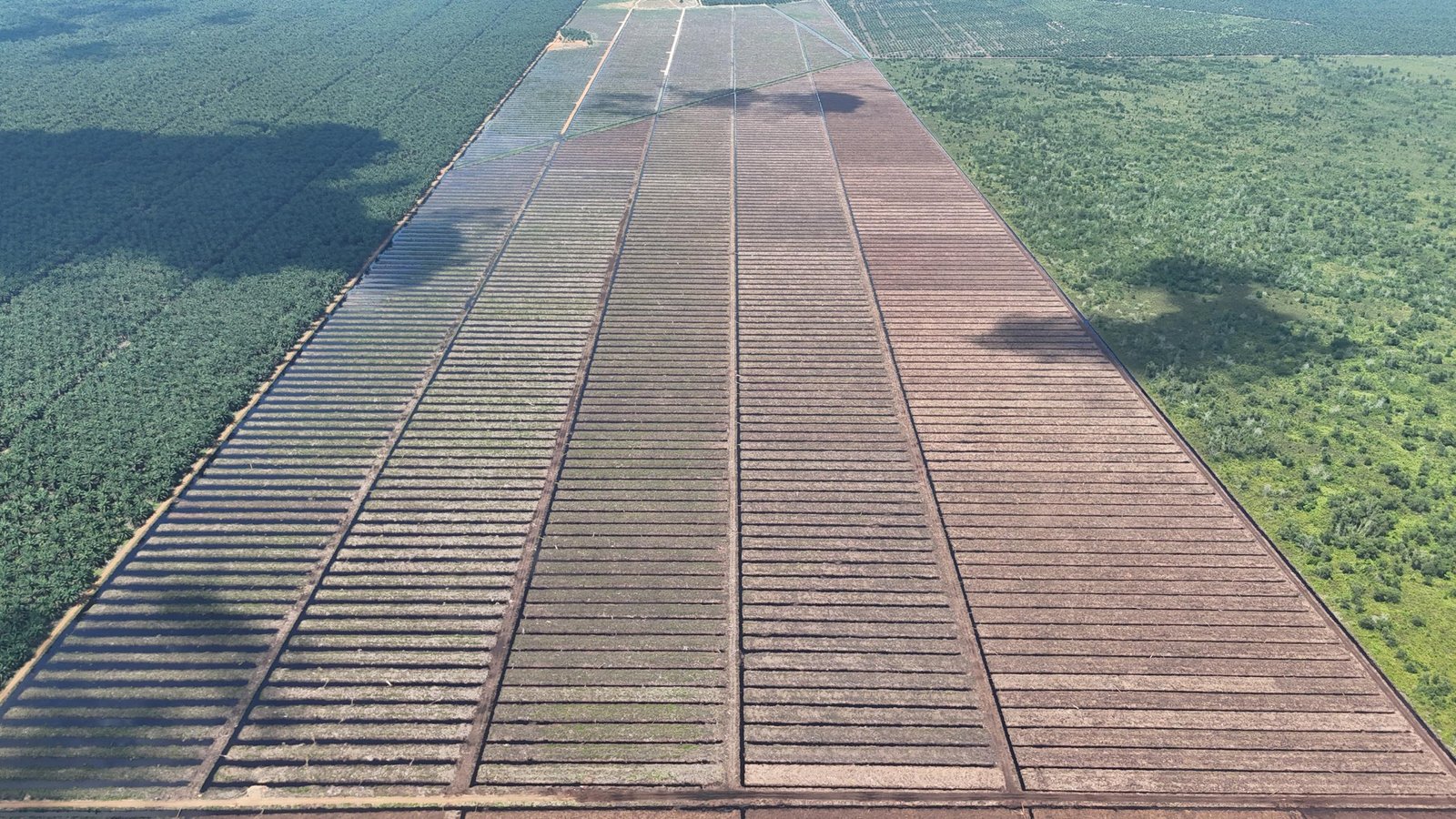 Drone-shot1