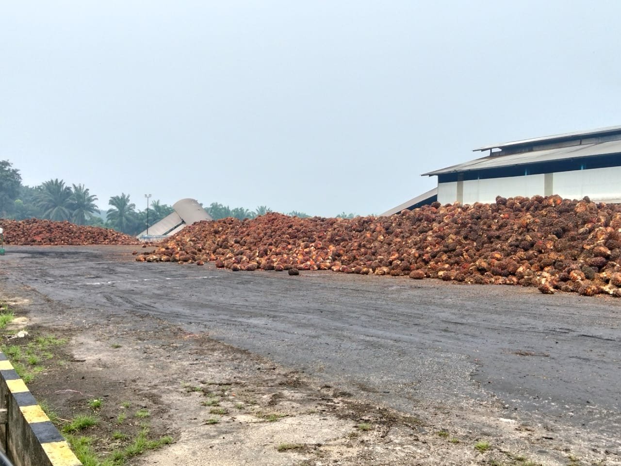 Agro Supply Chain