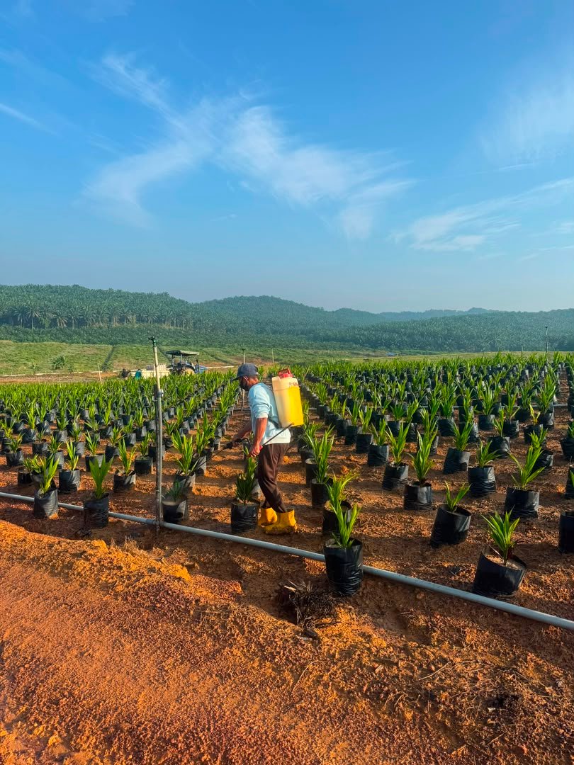 NK Agriculture agricultural field